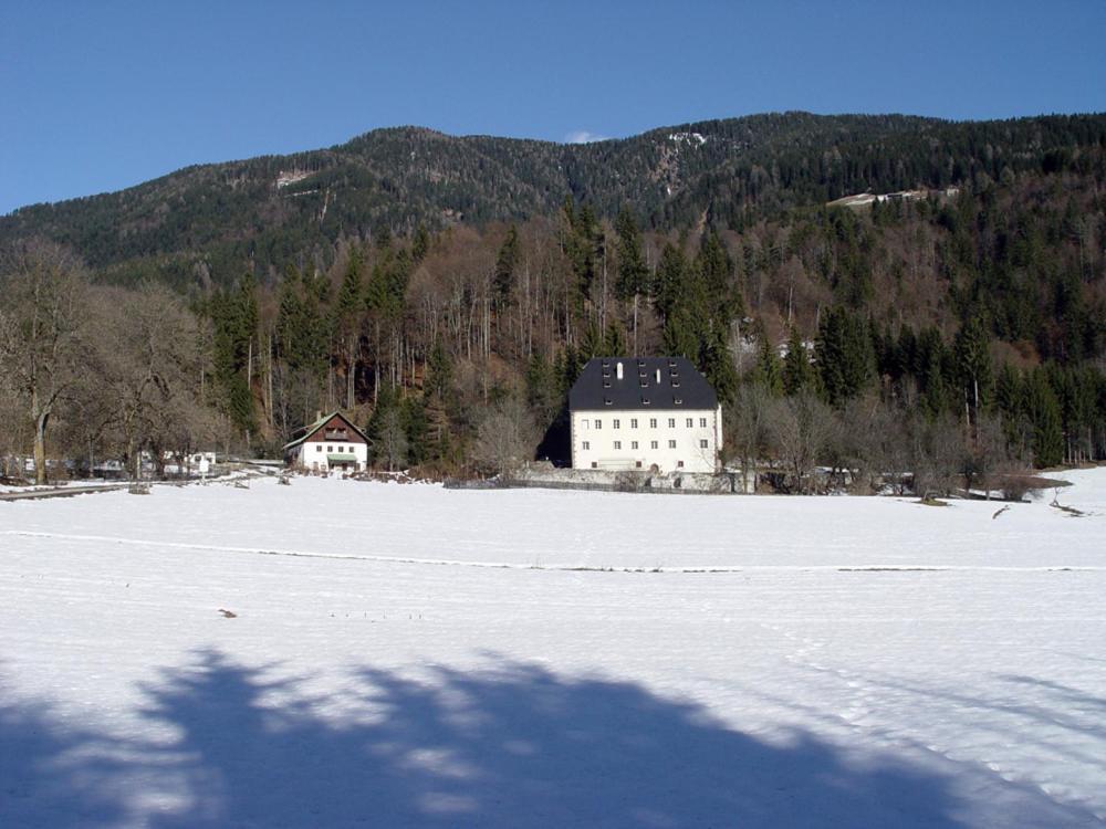 Schloss Manndorf Gaestehaus Kotschach-Mauthen Zewnętrze zdjęcie